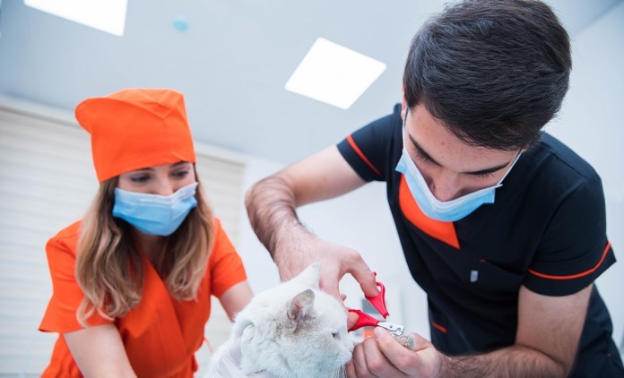 BETI Baytarlıq klinikası