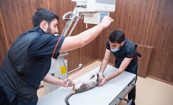BETI Baytarlıq klinikası