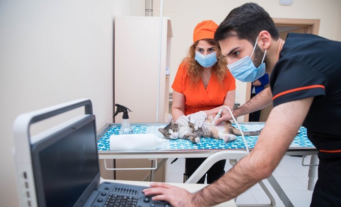 BETI Baytarlıq klinikası